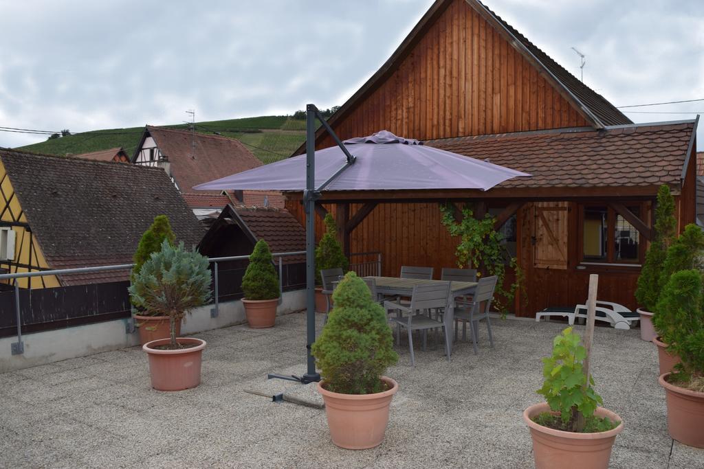 Gite Du Vigneron Turckheim Ngoại thất bức ảnh